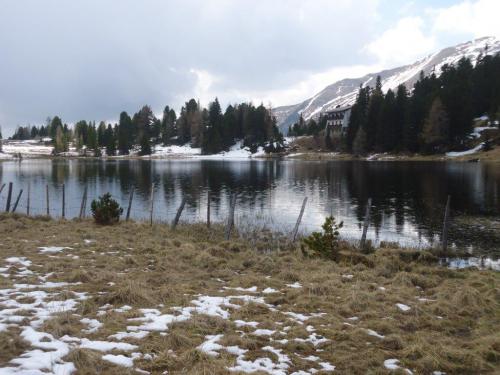 NF-3-Seen-Wanderung-Turrach-16-05-2016-025