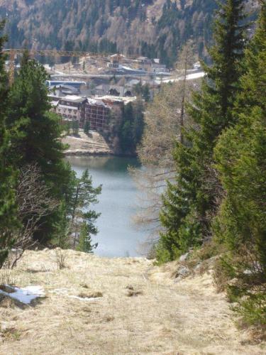 NF-3-Seen-Wanderung-Turrach-16-05-2016-030