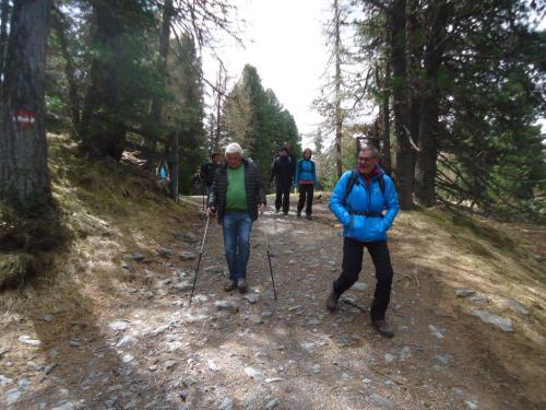 NF-3-Seen-Wanderung-Turrach-16-05-2016-042