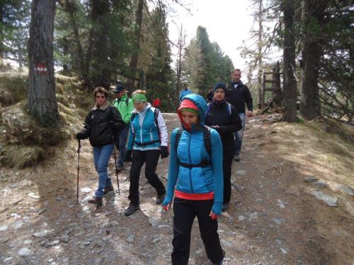 NF-3-Seen-Wanderung-Turrach-16-05-2016-043