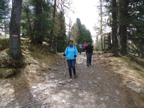 NF-3-Seen-Wanderung-Turrach-16-05-2016-044