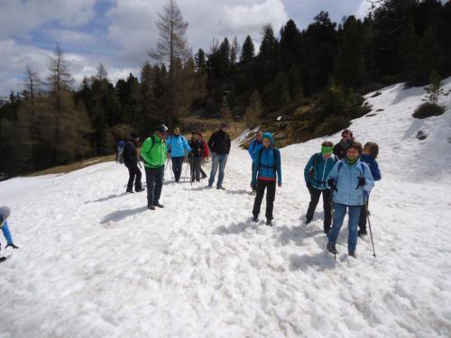 NF-3-Seen-Wanderung-Turrach-16-05-2016-050