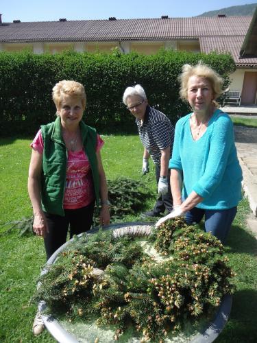 NF - Maibaum 2018 002