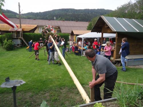 NF - Maibaum 2018 018